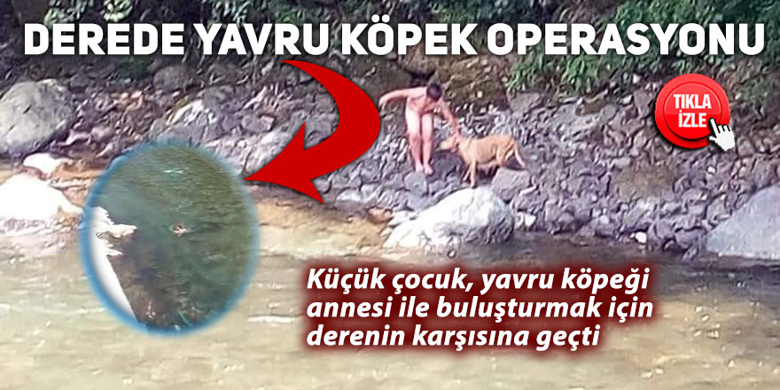 Derede yavru köpek operasyonu