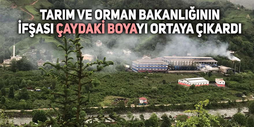 Tarım ve Orman Bakanlığının ifşası çaydaki boyayı ortaya çıkardı