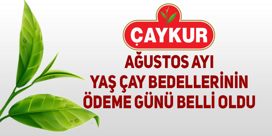 Çaykur Ağustos ayı yaş çay bedellerini ödüyor