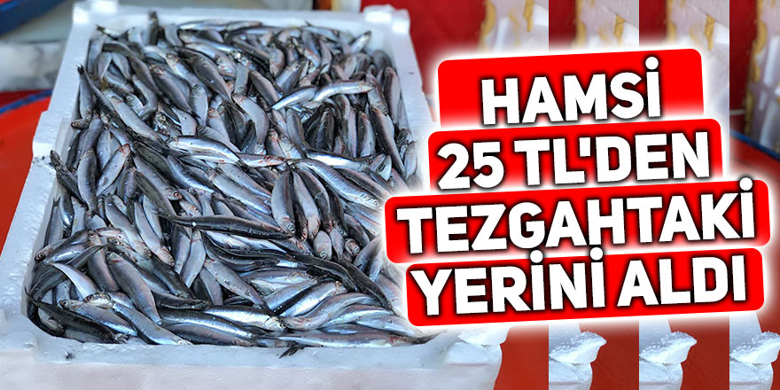 Hamsi 25 TL'den tezgahtaki yerini aldı