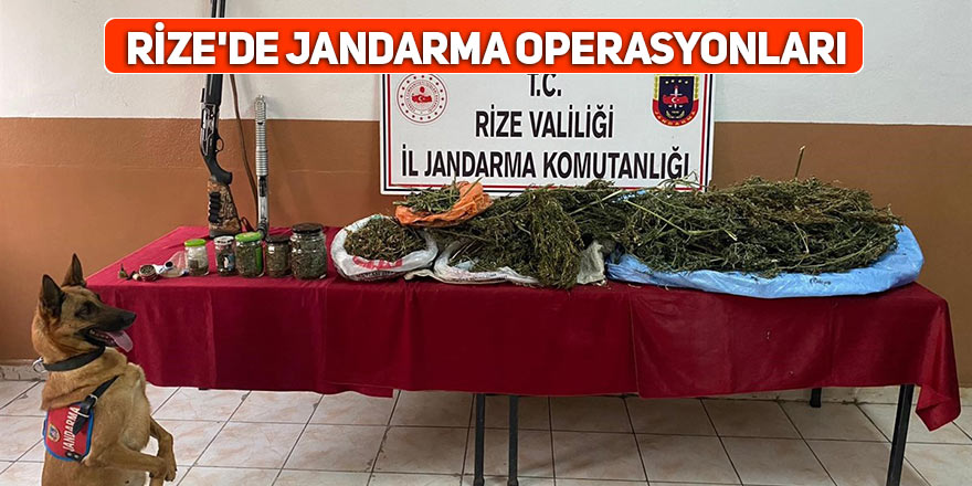 Rize'de jandarma operasyonları