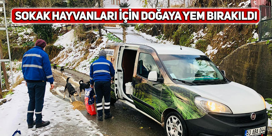 Sokak hayvanları için doğaya yem bırakıldı