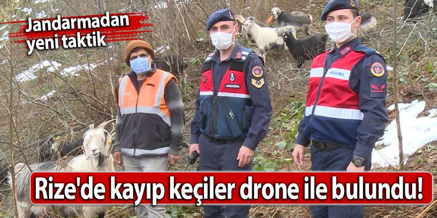 Rize'de kayıp keçiler drone ile bulundu!