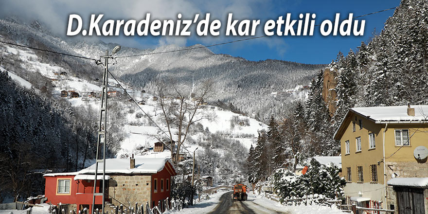 D. Karadeniz'de kar yağışı etkili oldu