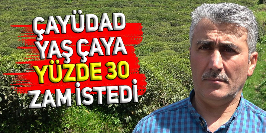 ÇAYÜDAD, yaş çaya yüzde 30 zam istedi