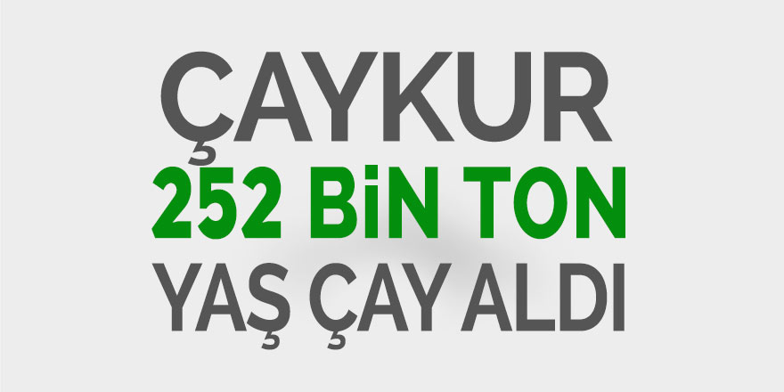 ÇAYKUR 252 bin ton yaş çay aldı