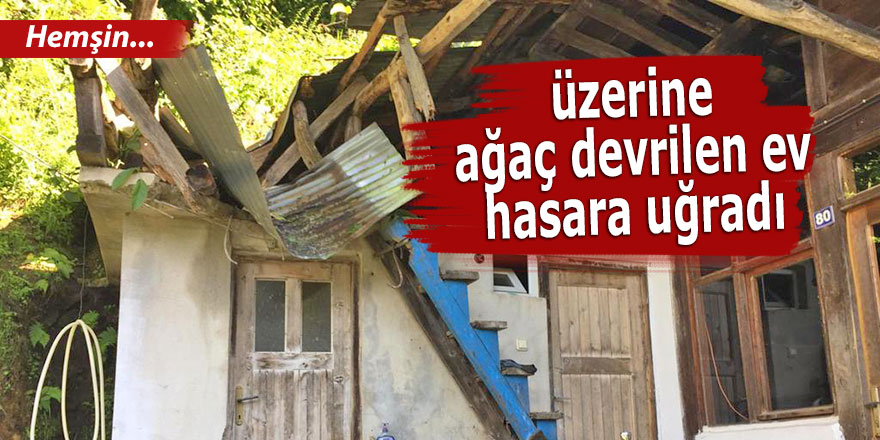 Hemşin'de üzerine ağaç devrilen ev hasara uğradı