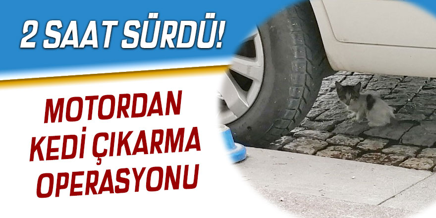 Motordan kedi çıkarma operasyonu