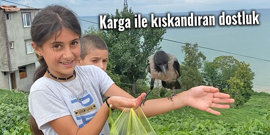 Karga ile kıskandıran dostluk