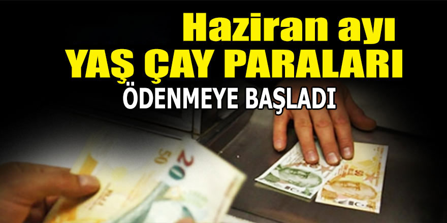 ÇAYKUR, haziran ayı yaş çay bedeli ödemelerine başladı