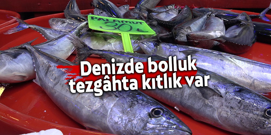 Denizde bolluk, tezgâhta kıtlık var!