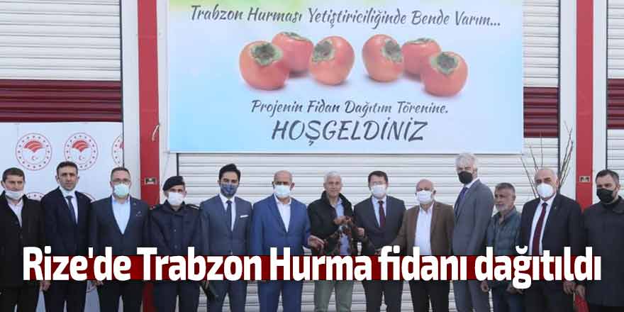 Rize'de Trabzon Hurması dağıtıldı