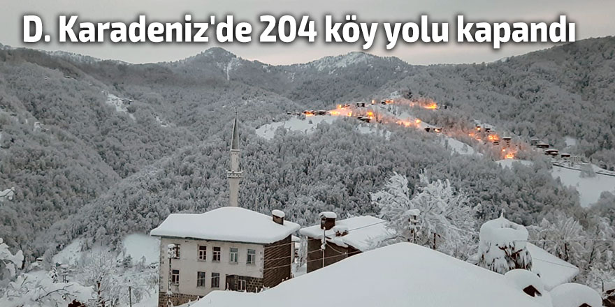 D. Karadeniz'de kar nedeniyle 204 köy yolu ulaşıma kapandı