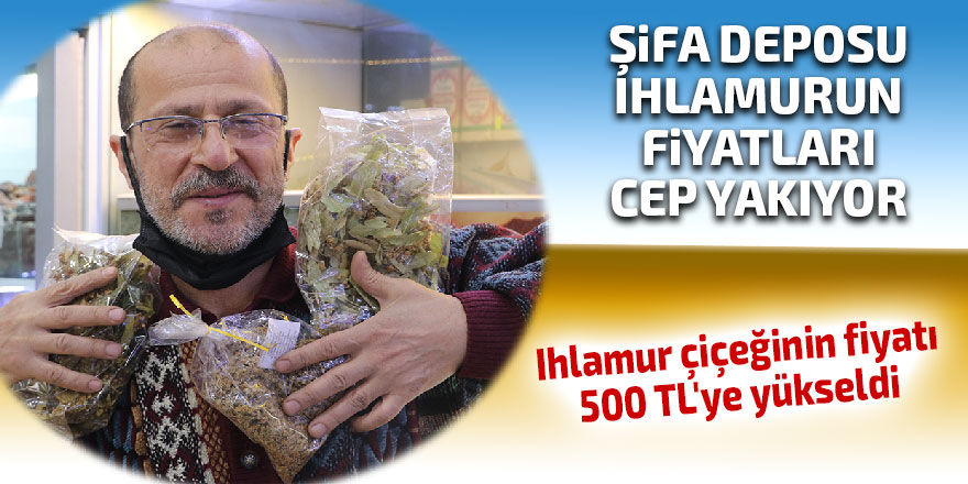 Doğal şifa deposu ıhlamurun fiyatları cep yakıyor