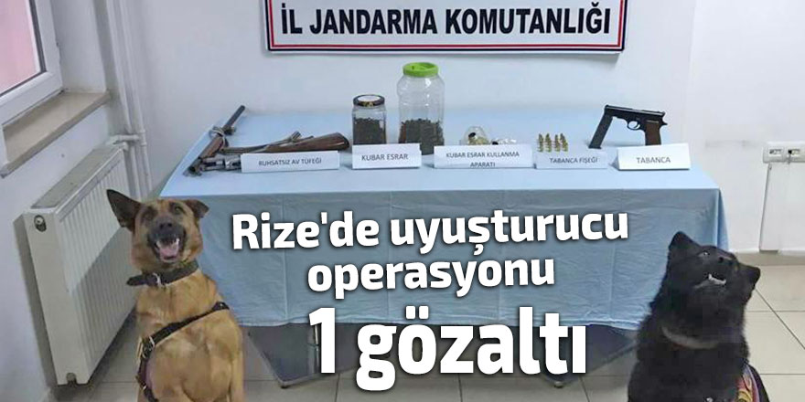 Rize'de uyuşturucu operasyonu: 1 gözaltı