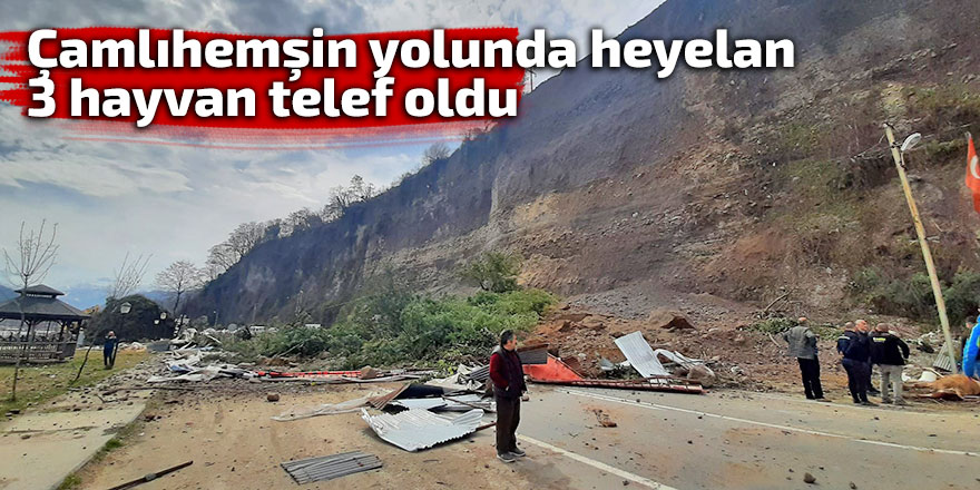 Çamlıhemşin yolunda heyelan: 3 hayvan telef oldu