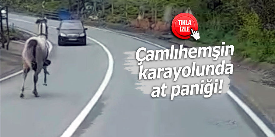 ÇAMLIHEMŞİN KARAYOLUNDA AT PANİĞİ!