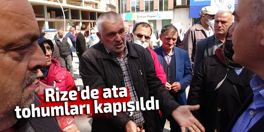 Rize'de ata tohumları kapışıldı