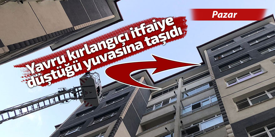 Yavru kırlangıç için itfaiye geldi