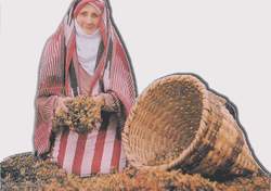 Fındık fiyatı beklentilere uydu mu?