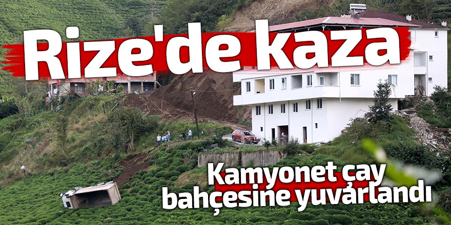 Rize'de kaza: Kamyonet çay bahçesine yuvarlandı