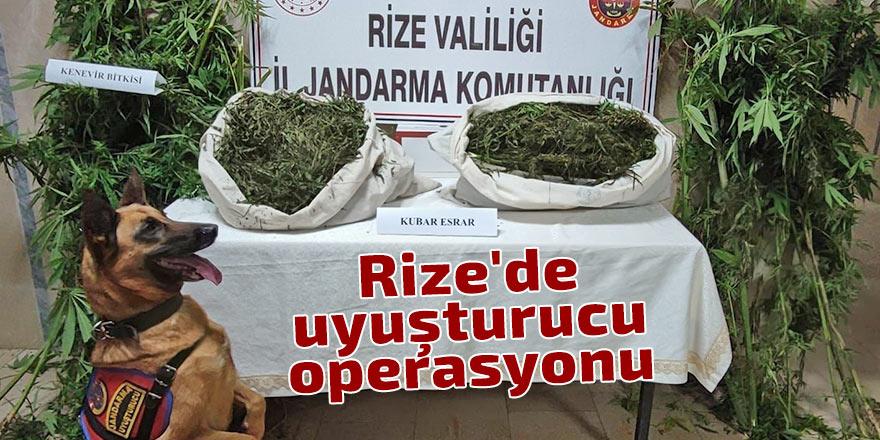 Rize'de uyuşturucu operasyonu