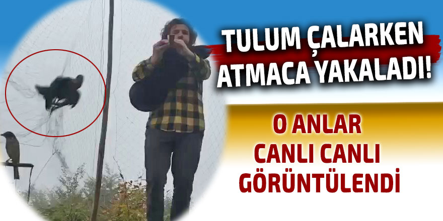 TULUM ÇALARKEN ATMACA YAKALADI!