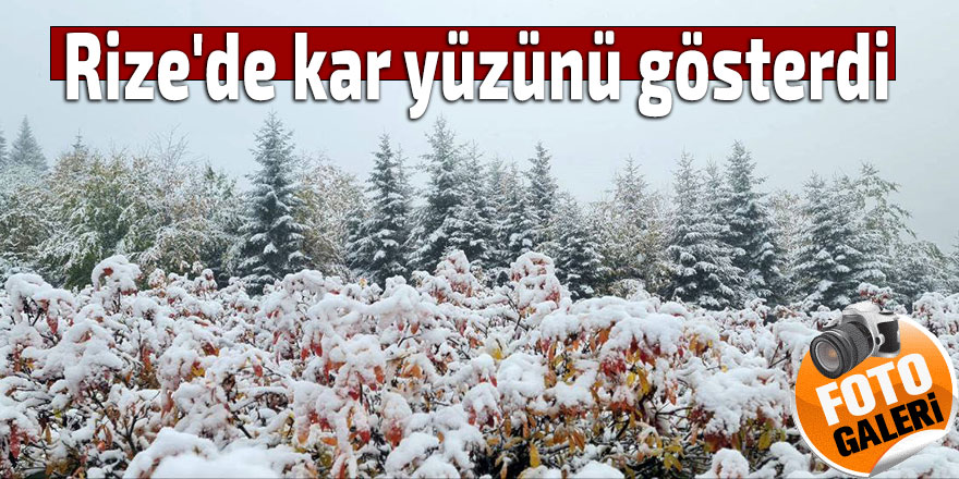 Rize'de kar yüzünü gösterdi