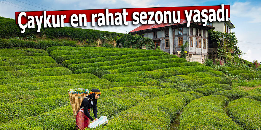 Çaykur en rahat sezonu yaşadı