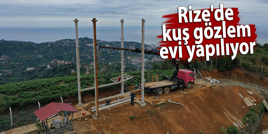 Rize'de kuş gözlem evi yapılıyor