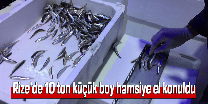 Rize'de 10 ton küçük boy hamsiye el konuldu