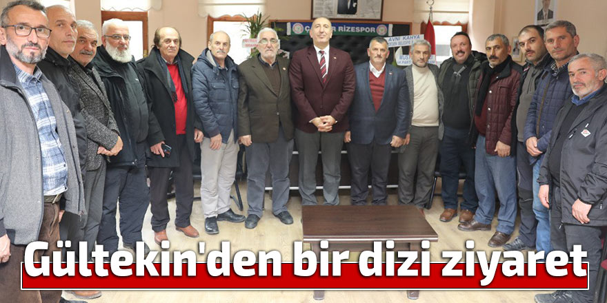 Gültekin'den bir dizi ziyaret