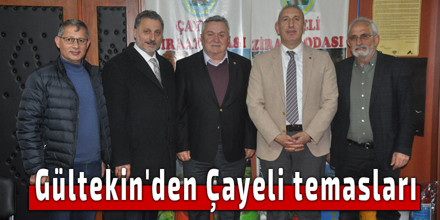 Gültekin'den Çayeli temasları