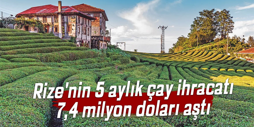 Rize'nin 5 aylık çay ihracatı 7,4 milyon doları aştı