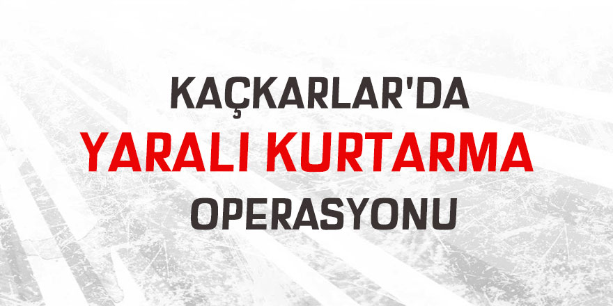 Kaçkarlar'da  yaralı kurtarma operasyonu