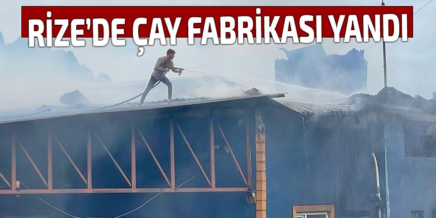 ÇAY FABRİKASI YANDI