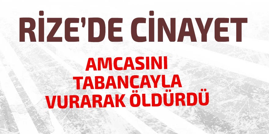 Amcasını tabancayla vurarak öldürdü