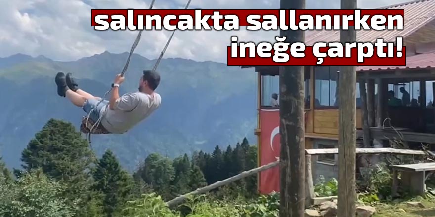 salıncakta sallanırken ineğe çarptı!