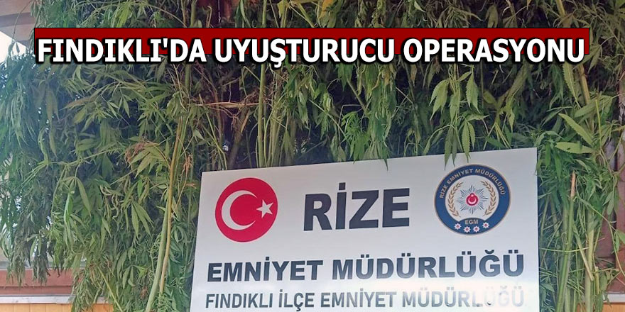 FINDIKLI'DA UYUŞTURUCU OPERASYONU