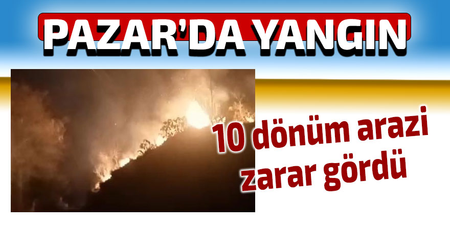 Pazar'da yangın: 10 dönüm arazi zarar gördü