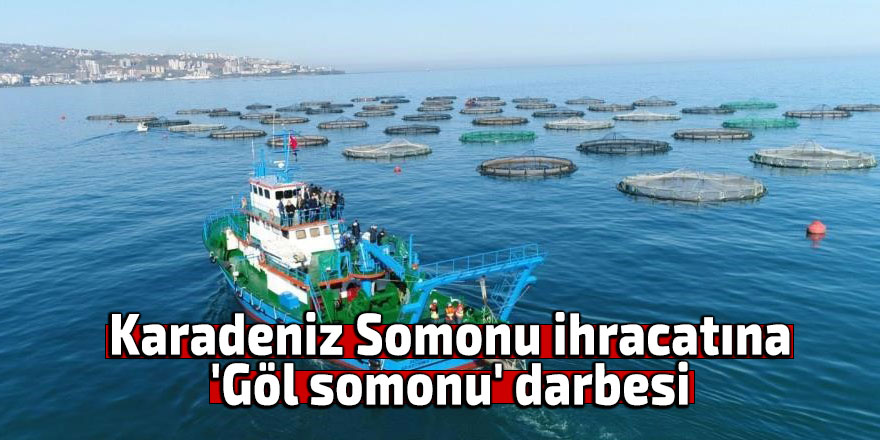 Karadeniz Somonu ihracatına 'Göl somonu' darbesi