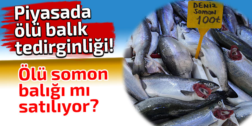 Piyasada ölü somon balığı mı satılıyor?