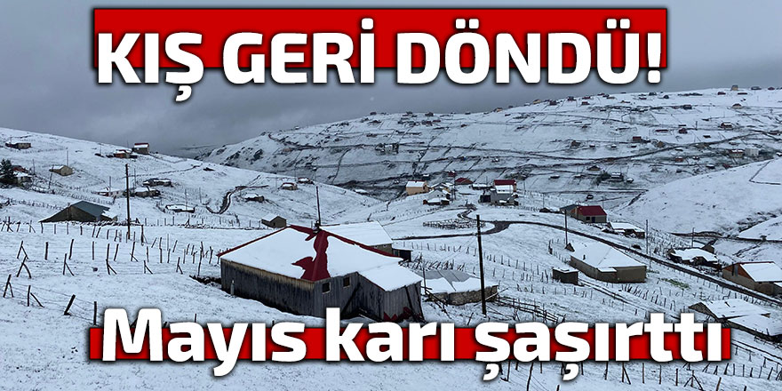 KIŞ GERİ DÖNDÜ!