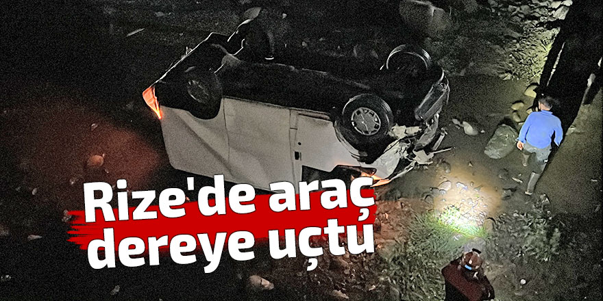 Rize'de dereye uçan aracın sürücüsü yaralandı