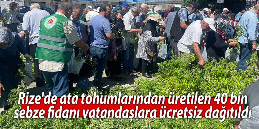 Rize'de ata tohumlarından üretilen 40 bin sebze fidanı vatandaşlara ücretsiz dağıtıldı
