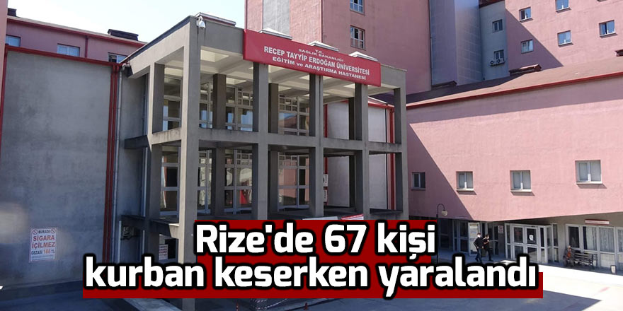  Rize'de 67 kişi kurban keserken yaralandı