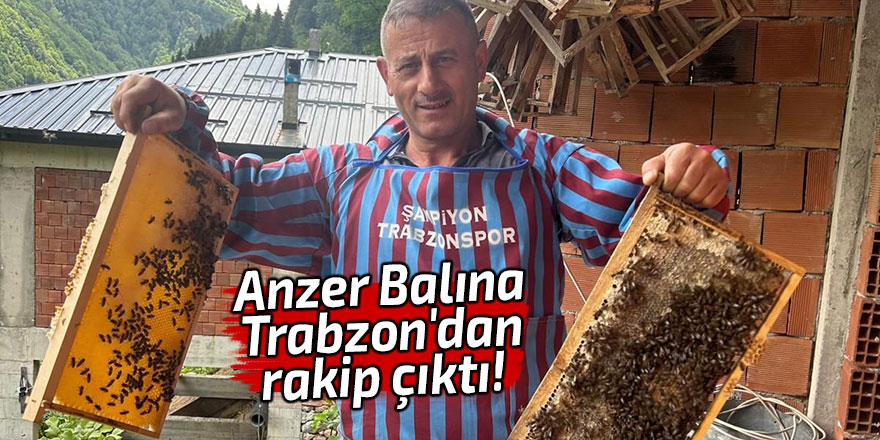 Anzer Balına Trabzon'dan rakip çıktı!
