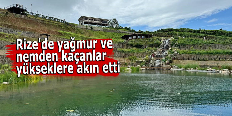 Rize'de yağmur ve nemden kaçanlar yükseklere akın etti