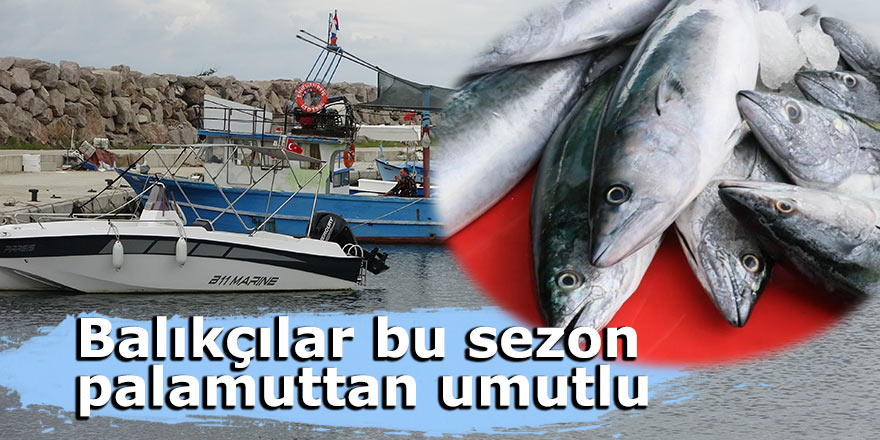 Balıkçılar bu sezon palamuttan umutlu