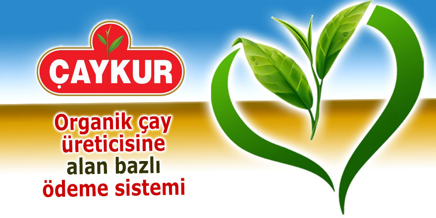 Çaykur organik çay üreticisine alan bazlı ödemeye geçti